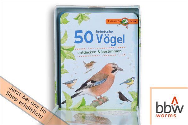 50 heimische Vögel Lernkartenspiel - 50 heimische Vögel Lernkartenspiel